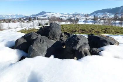 Feldmeier sleepingtree3